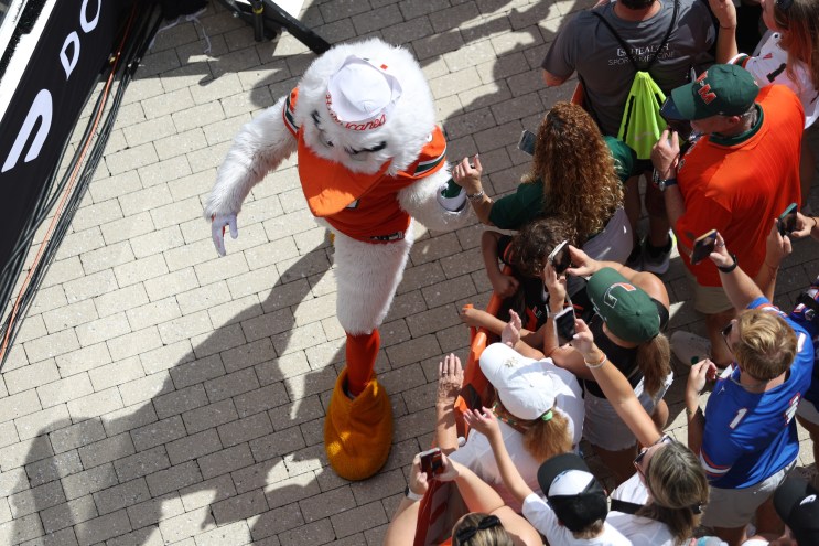 overhead view of UM mascot Sebastian the Ibis greeting fans