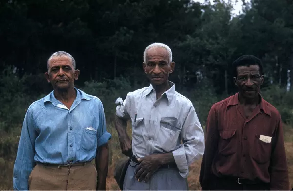 archival color photo of three elderly Black men in a clearing with a wooded area in the background