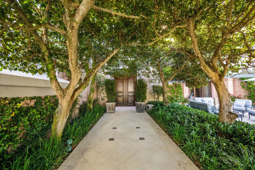 a concrete path underneath a canopy of trees leads to a wooden front door