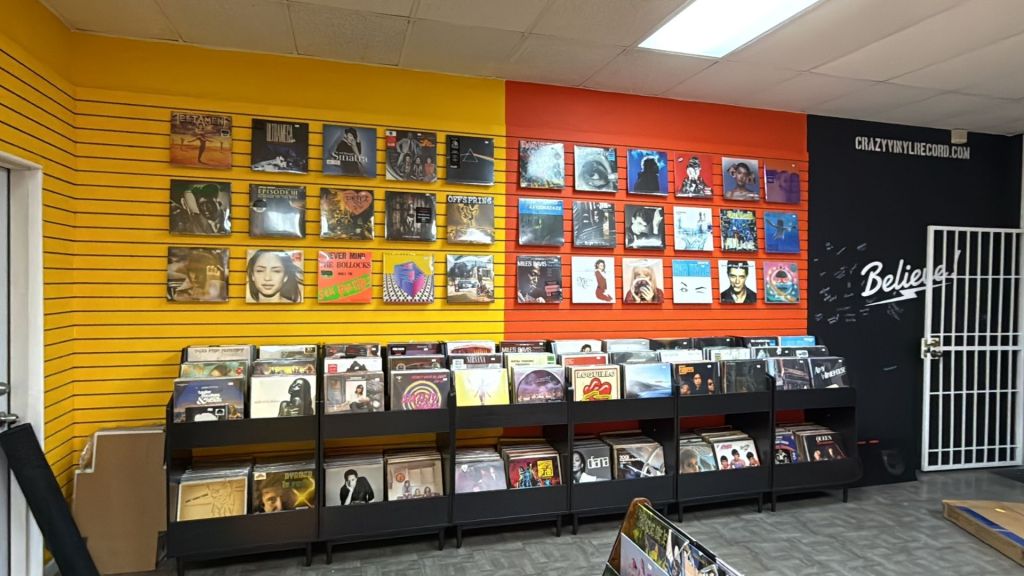 A wall full of vinyl records
