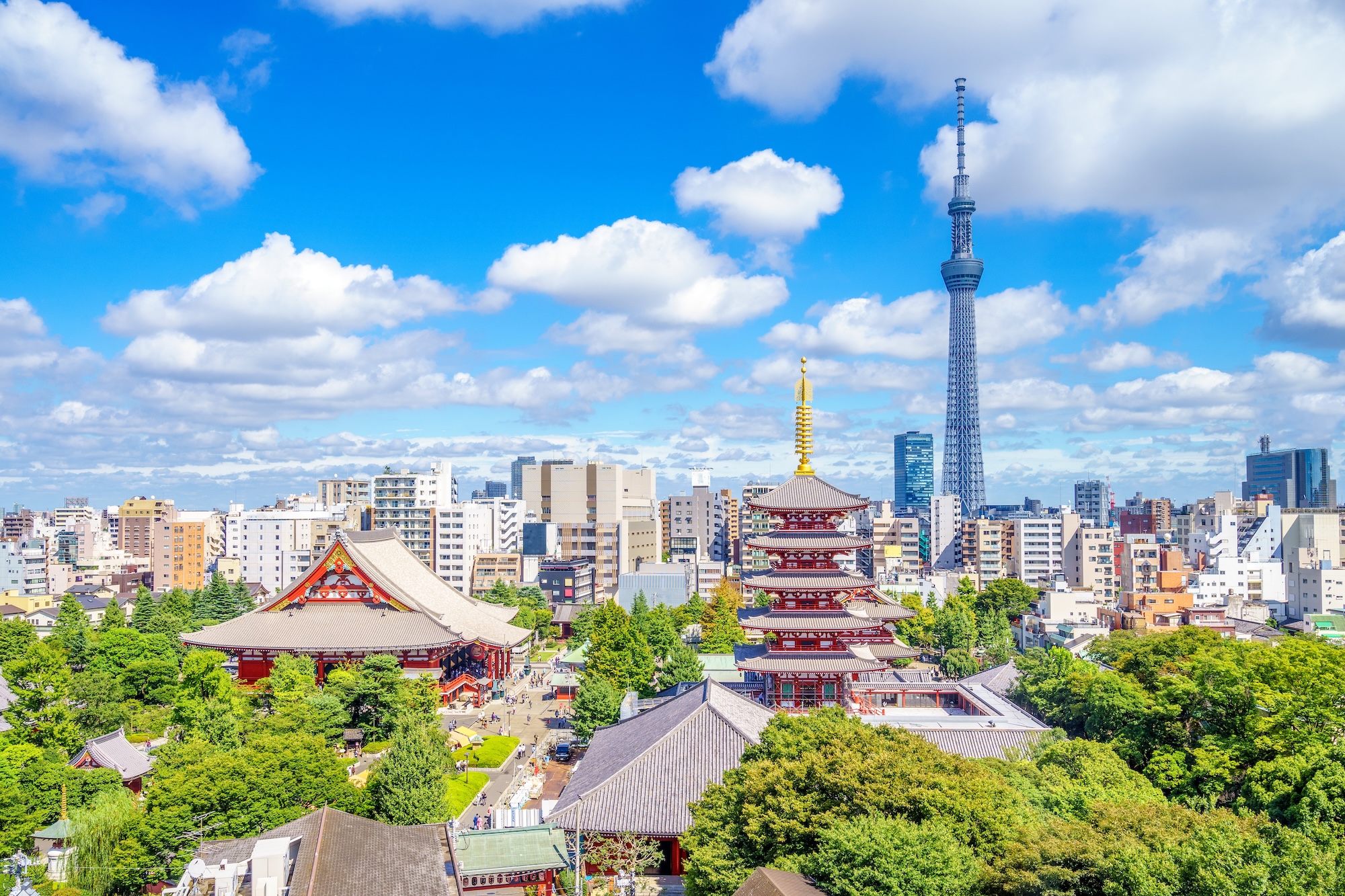 photo of an aerial view of Tokyo showing temples and buildings among trees beneath the sky