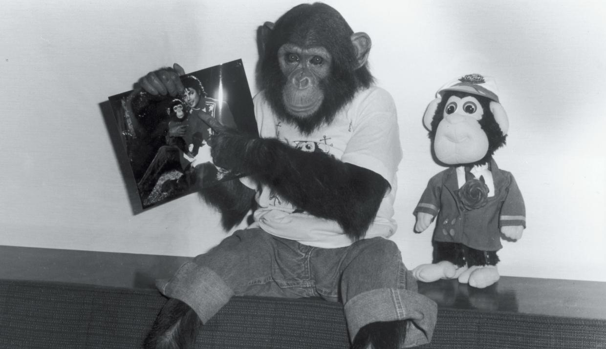 black-and-white photo of a chimpanzee wearing a shirt and pants and holding up a photo of himself with Michael Jackson