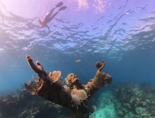 photo of an underwater statue of Christ with his hands stretched out with a scuba diver swimming above it