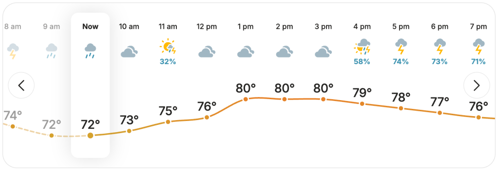 screenshot showing rainy forecast on weather.com