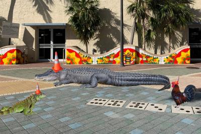 Keeping up with the Tartans: We're following the Scots around Miami