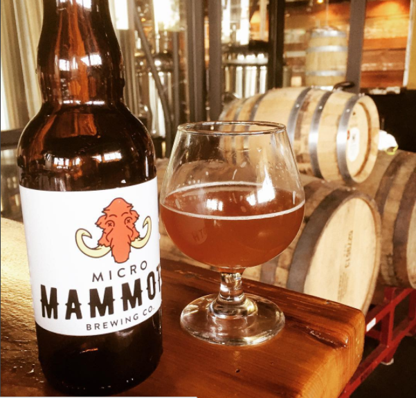 Five New Miami Breweries to Watch at Fifth-Annual Miami Beer Fest