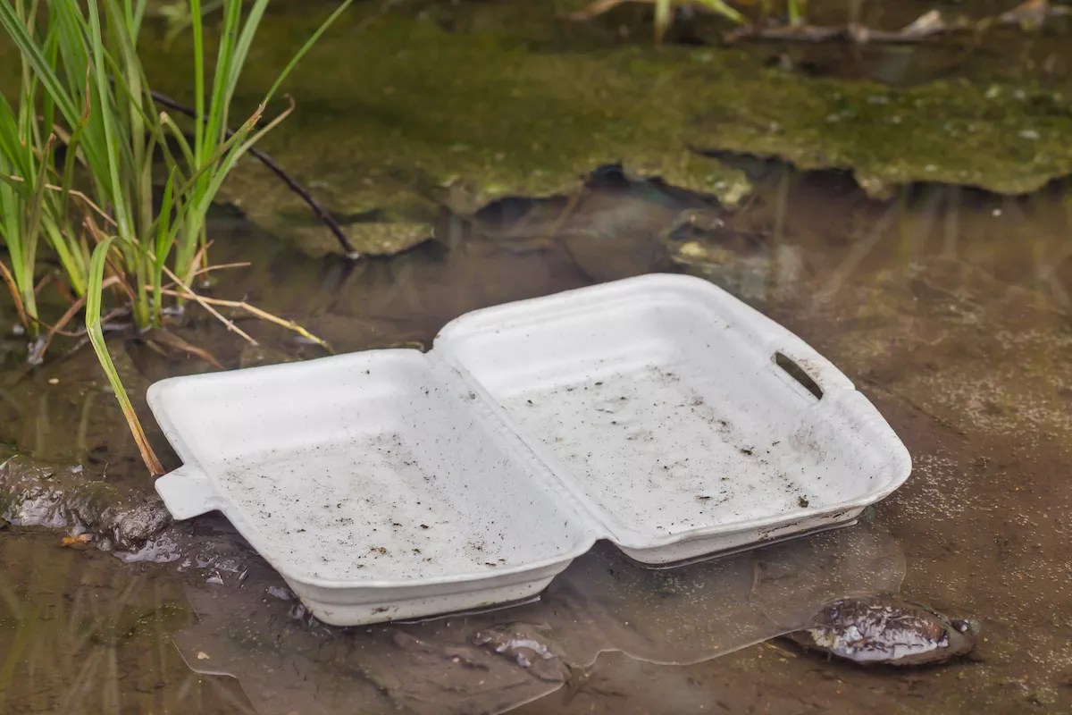 Miami Moves to Ban Styrofoam From City Parks and Beaches