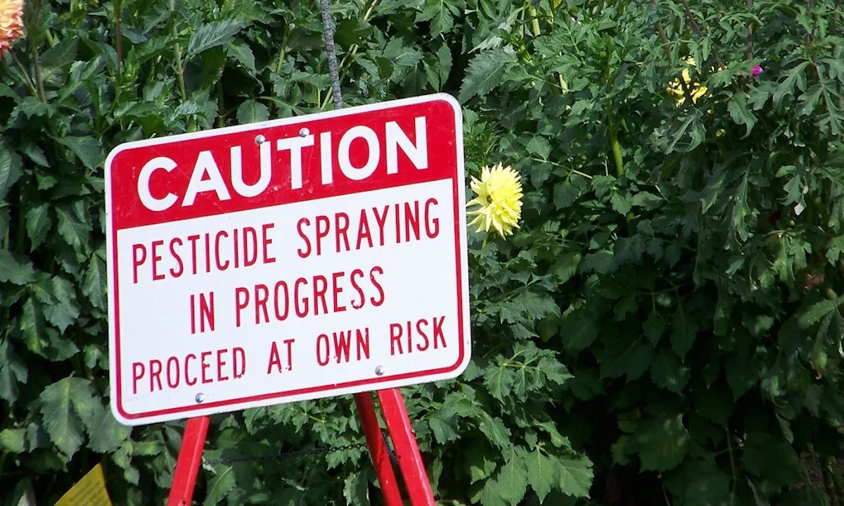 Mosquito Pesticide Sprayed All Over Miami Linked to Autism in Kids