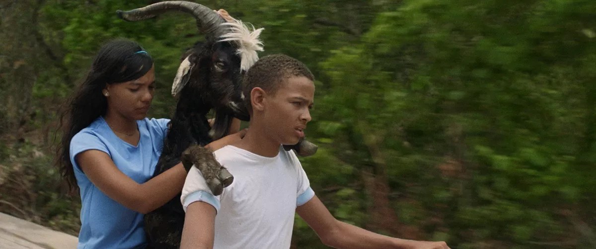 The Third Horizon Caribbean Film Festival Persists Through Hurricane Havoc