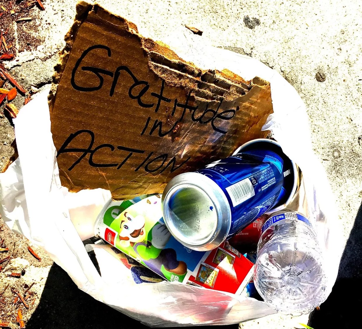 Why I Picked Up a Bag of Garbage Every Day for a Year After the 2016 Election