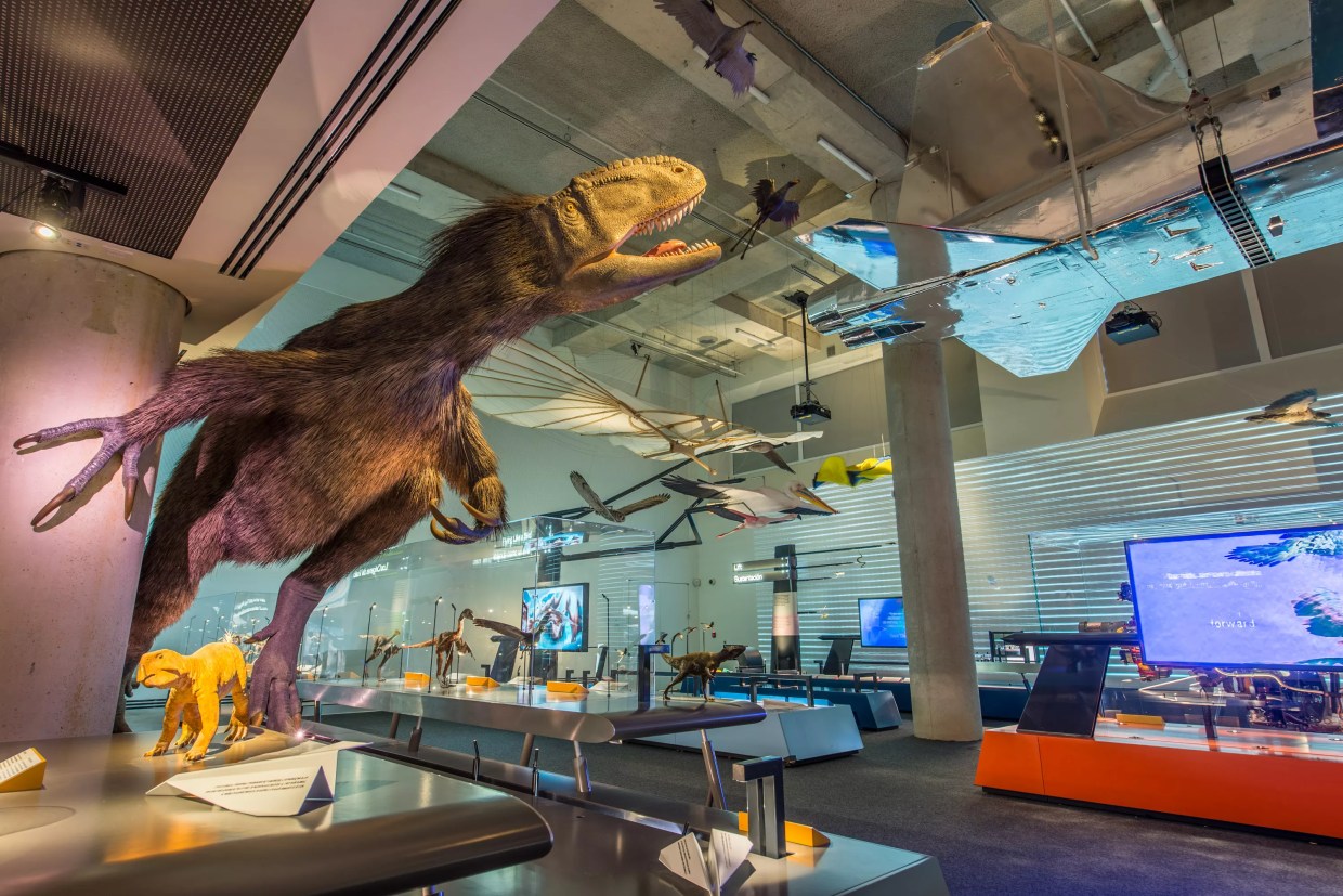 The Big Bang: Party at the Frost and Drink With a Dinosaur