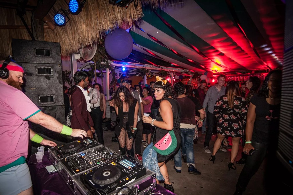 people dancing to a dj 