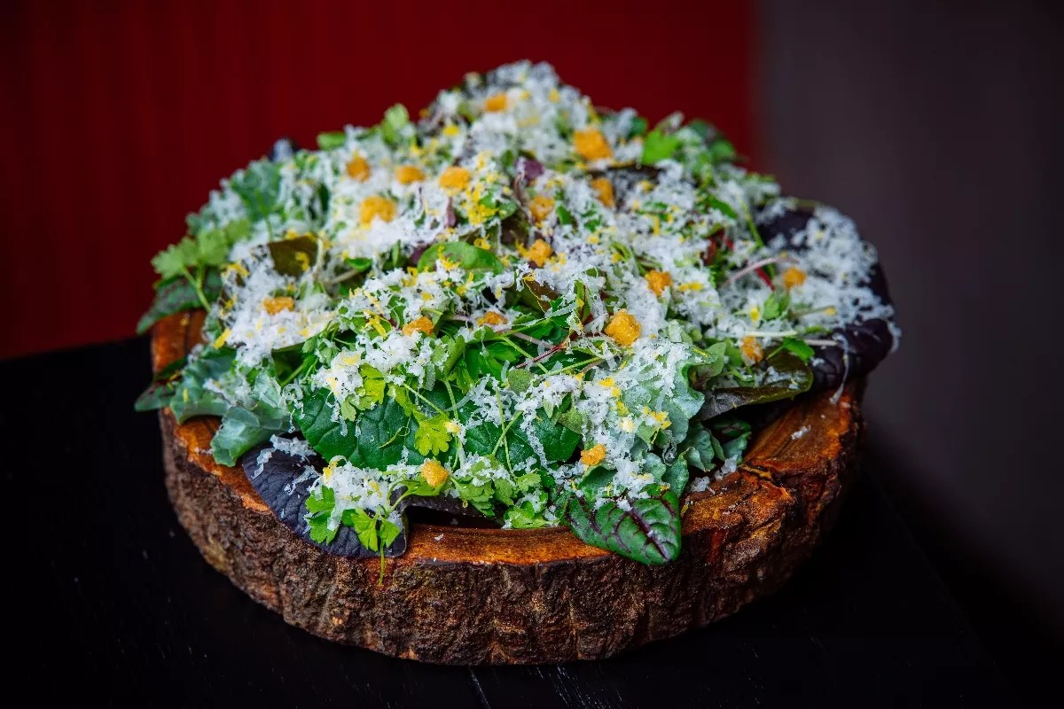 Stubborn Seed’s Brunch Is a Feast for the Eyes