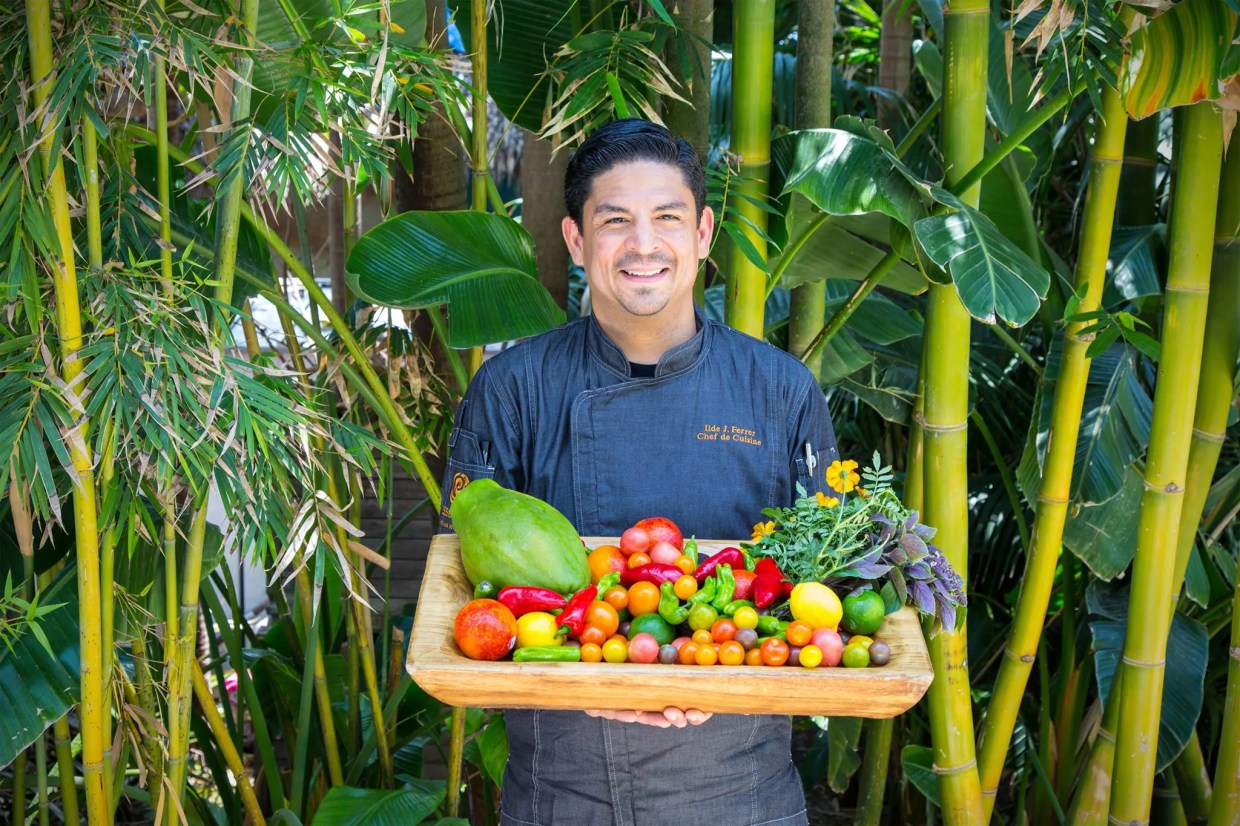 Essensia Debuts Farm-to-Table Summer Menu and a New Chef