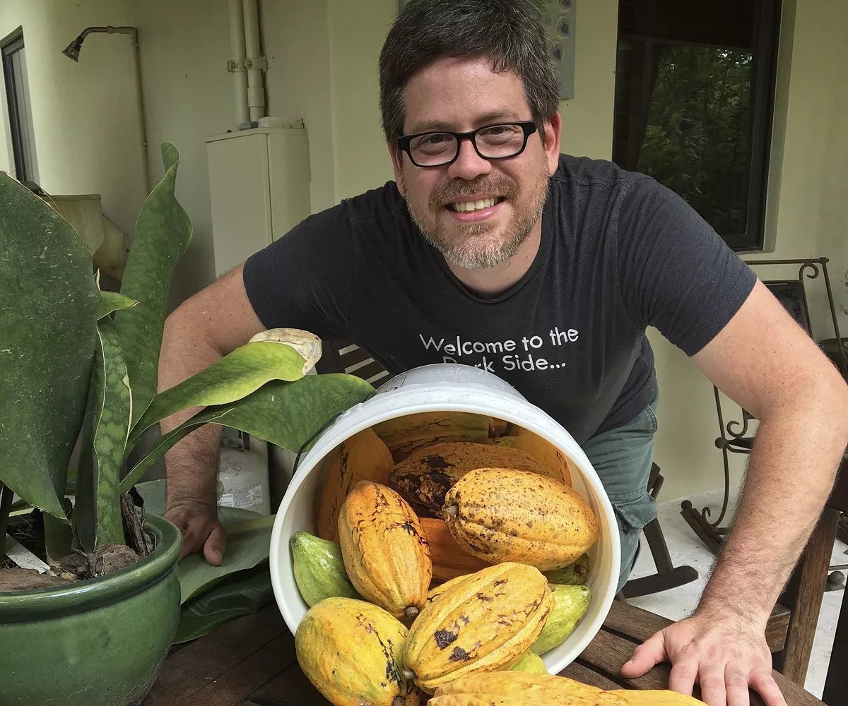 Cao Chocolates Harvests Miami-Dade’s Only Cacao Trees