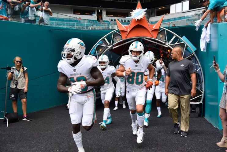 miami dolphins in uniform