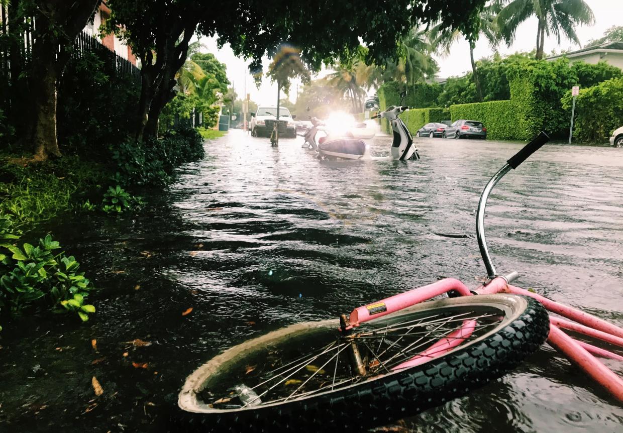 Miami Students Plan Climate Strike Alongside International Activists