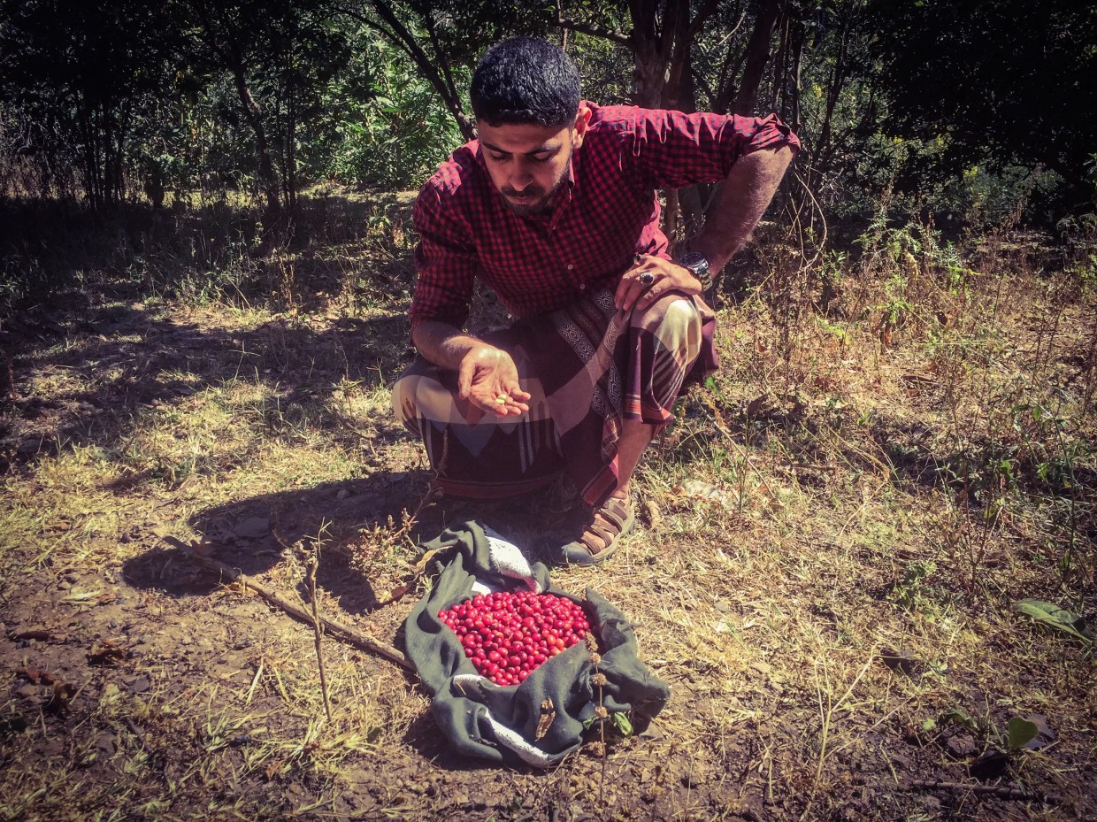 How Mokhtar Alkhanshali Brought Yemeni Coffee to the U.S.