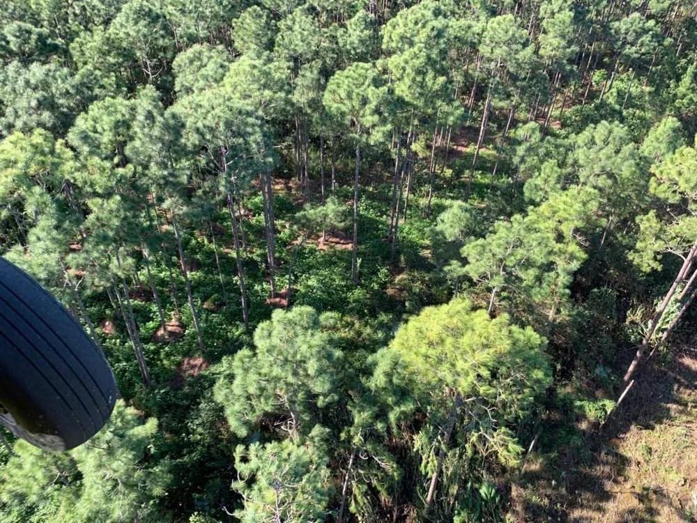 U.S. Coast Guard Officers Destroy Giant Bahamian Pot Farm After Claiming They Smelled Weed “From the Air”
