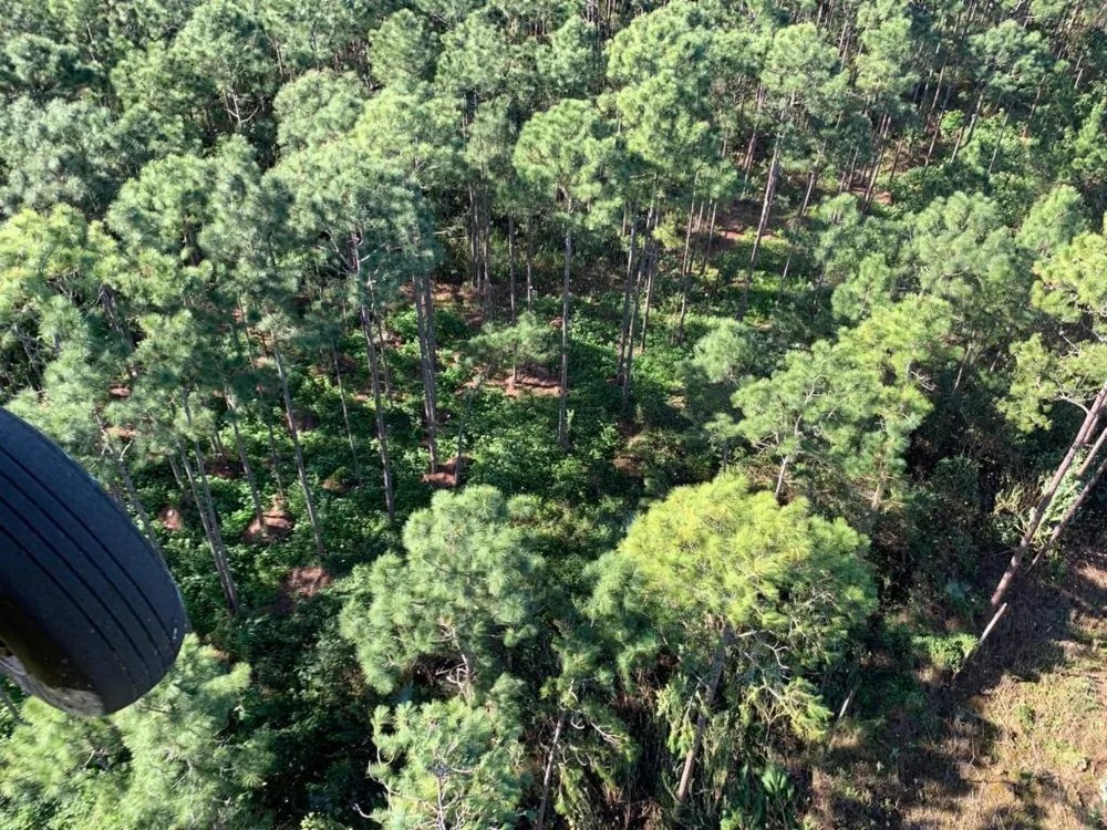 U.S. Coast Guard Officers Destroy Giant Bahamian Pot Farm After Claiming They Smelled Weed “From the Air”