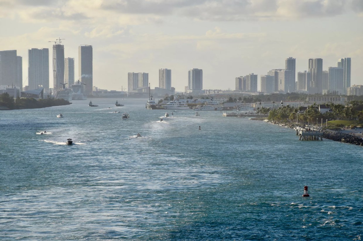 Miami Bans Controversial Herbicides That Are Killing Biscayne Bay