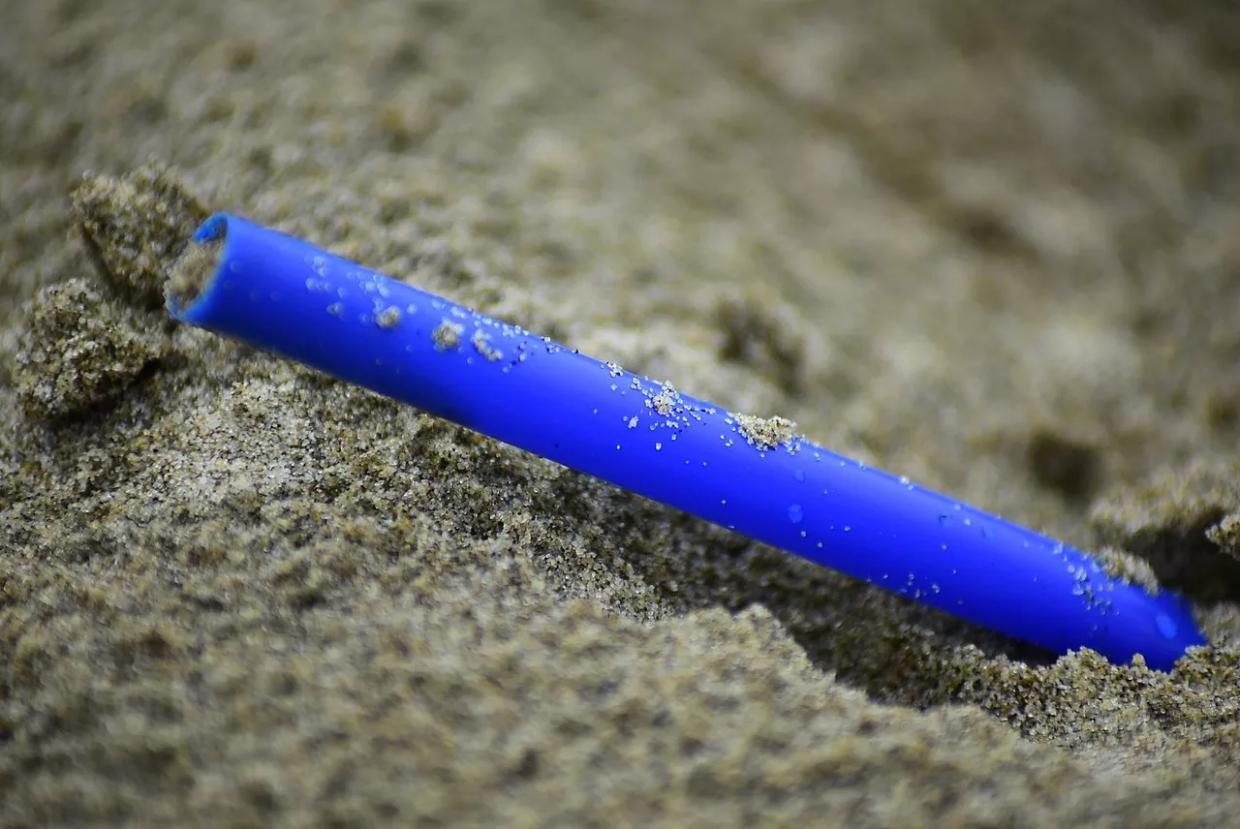 Miami Artist Cristina Serarols Is Turning Donated Plastic Straws Into Art