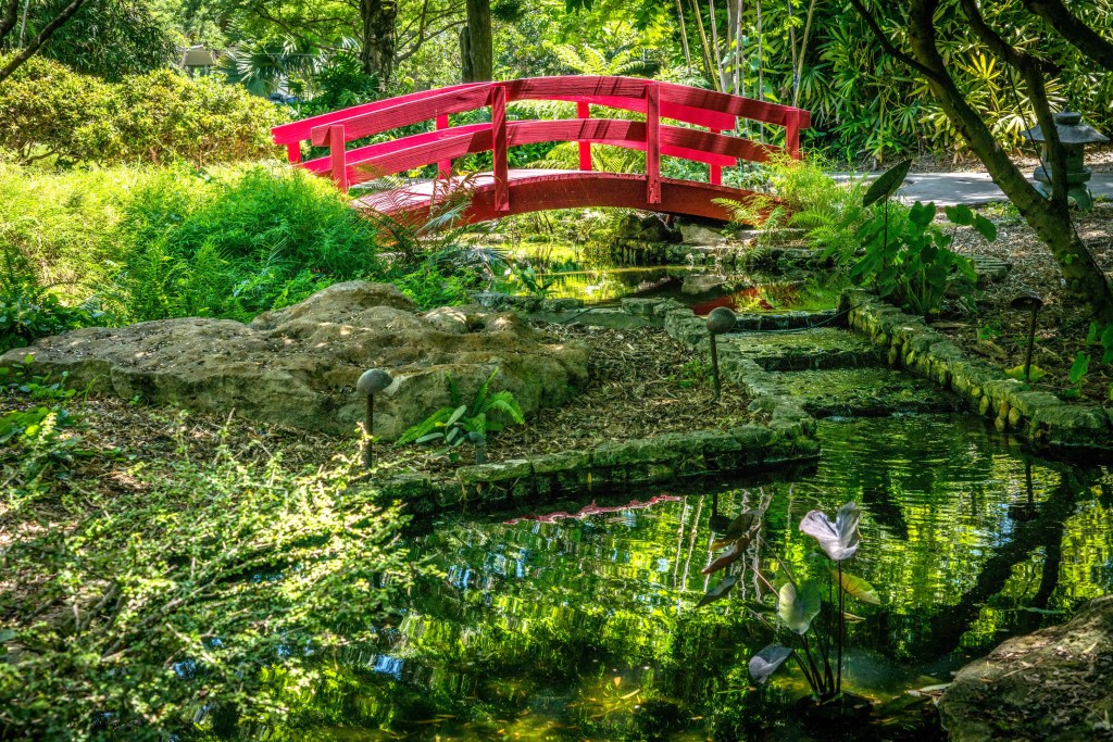 photo of a small red pedestrian bridge over a pond surrounded by greenery in a botanical garden