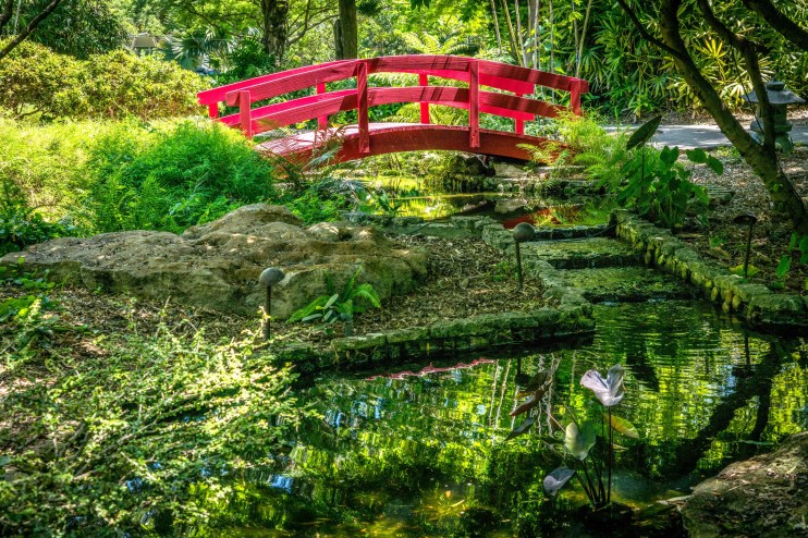 photo of a small red pedestrian bridge over a pond surrounded by greenery in a botanical garden