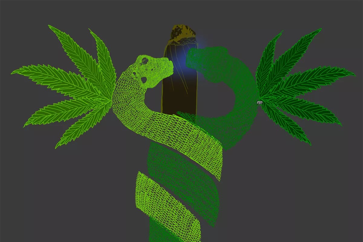 Medical Marijuana Cost a Nursing Student Her Spot at Nova Southeastern