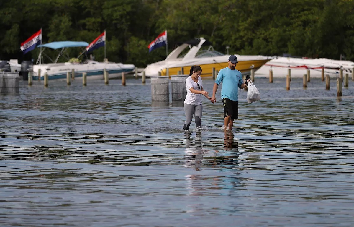 Cool, Parts of Miami Are Flooding Once Again