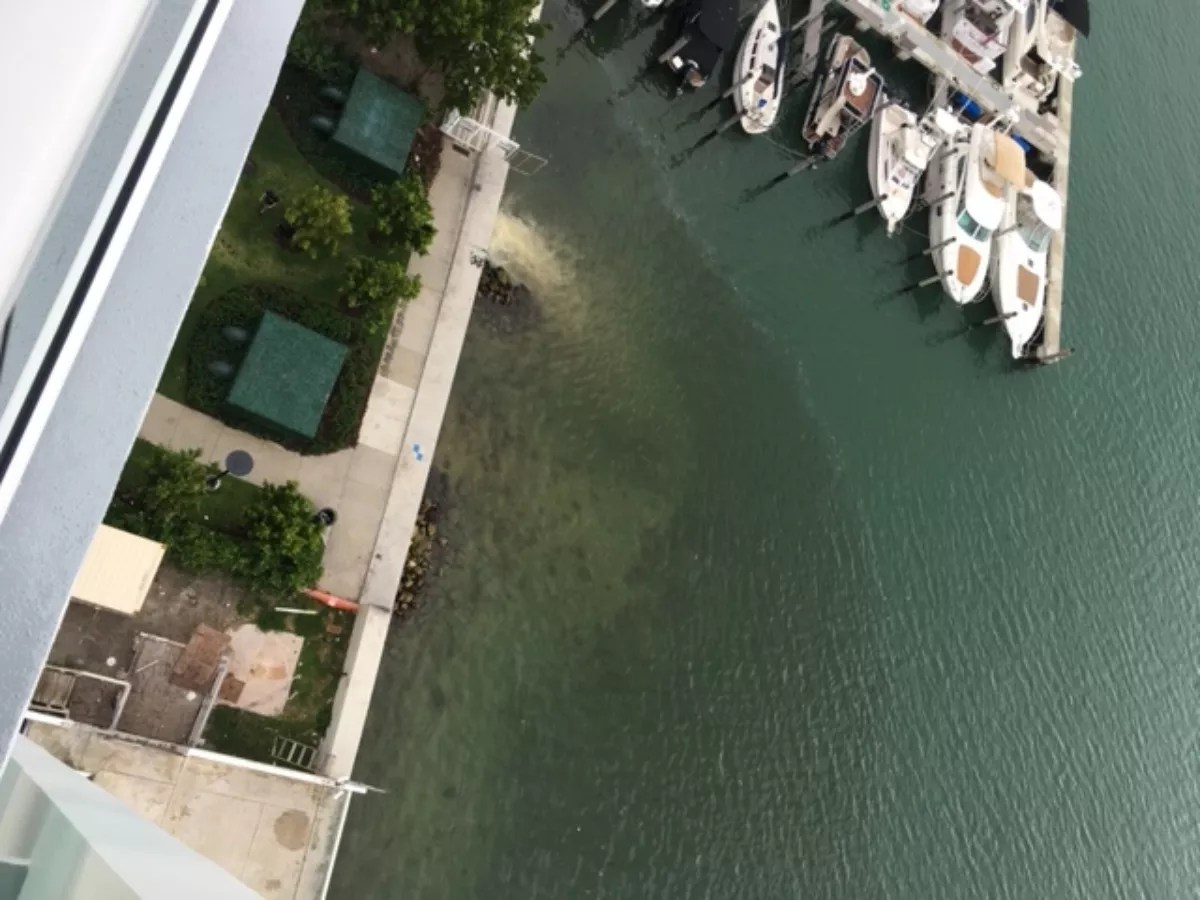 Stormwater Pumps Continue to Pollute Biscayne Bay