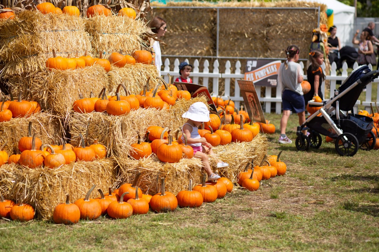 Coconut Grove’s Pumpkin Patch Festival Returns October 26