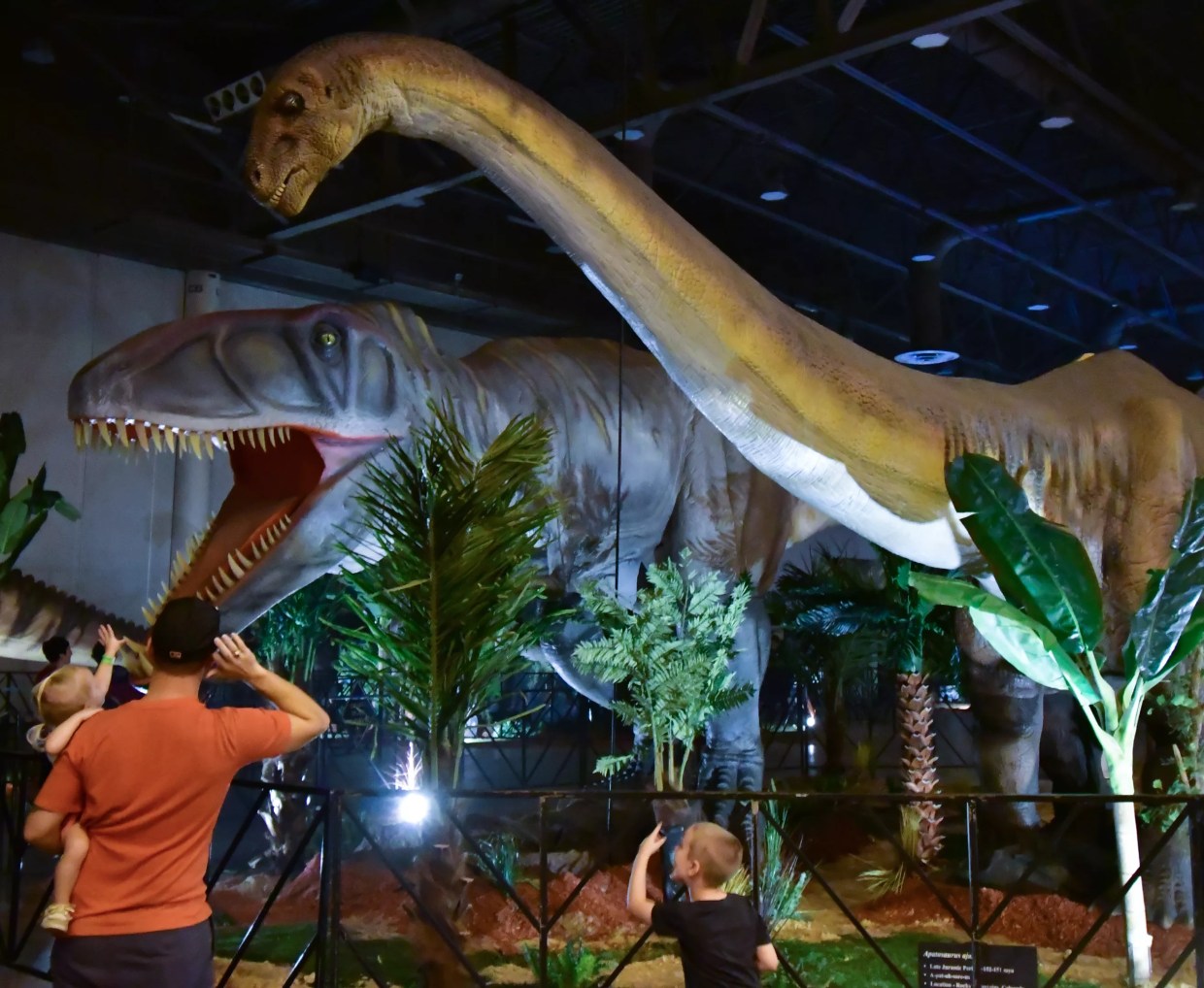 The 15 Best Things to Do in Miami This Week