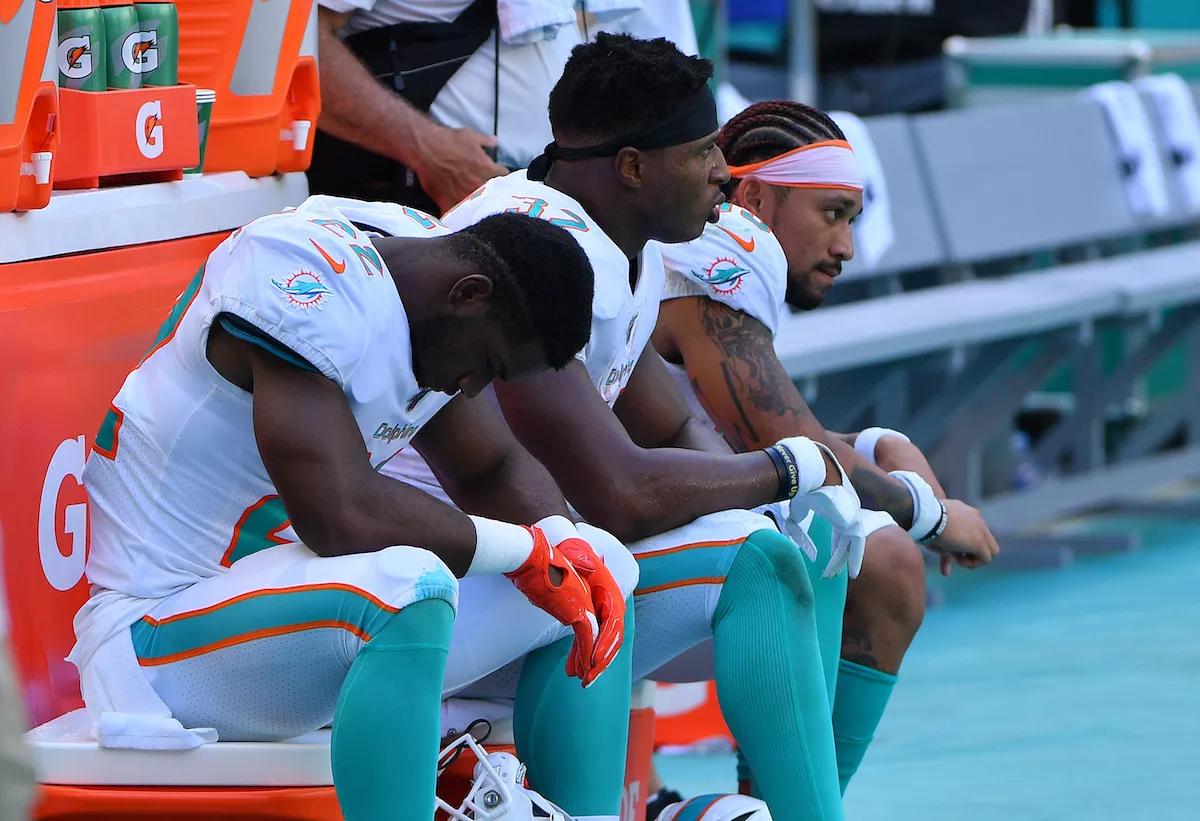 Five Reasons Everyone Should Leave the Dolphins Alone and Let Them Tank in Peace