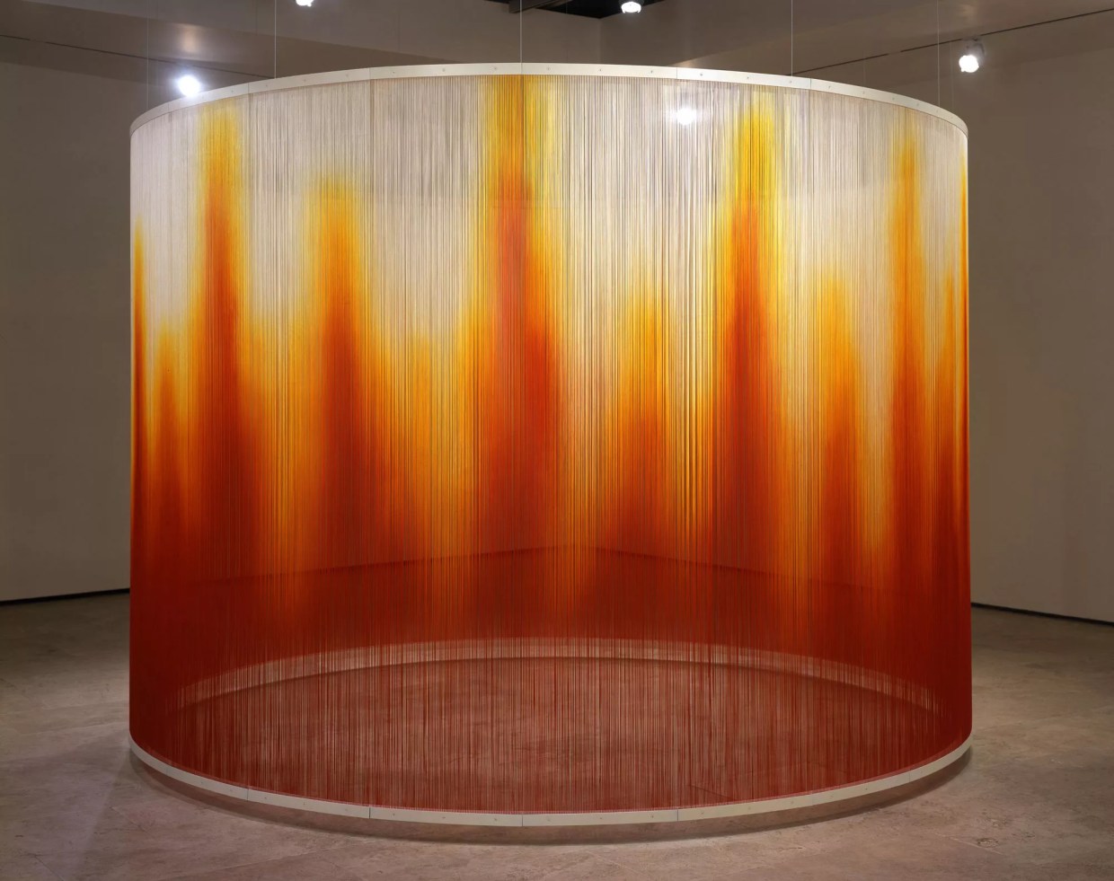 Miami’s Art Museums Grapple With a Dynamic City in Flux