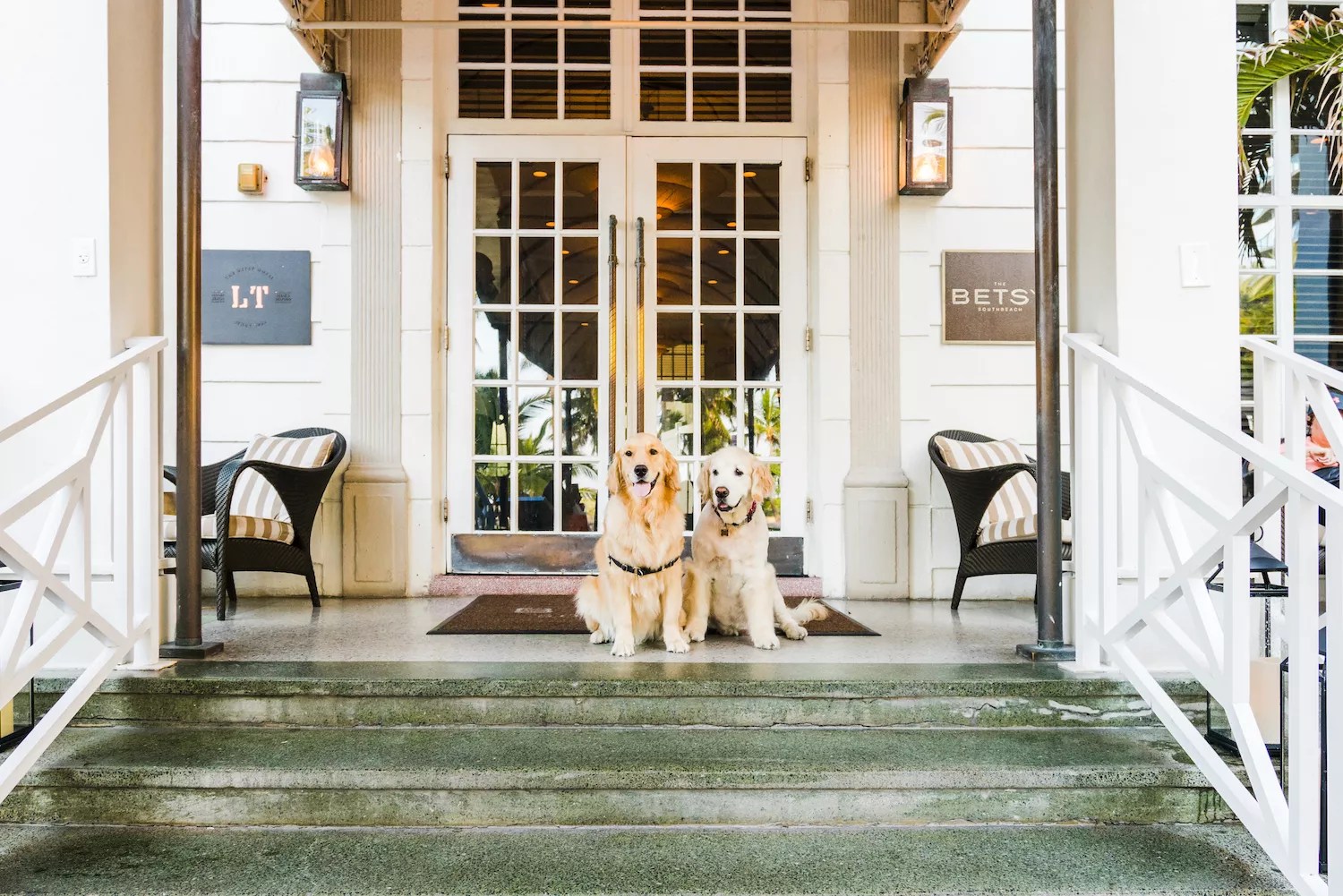 two golden retrievers sit on the front porch of a hotel