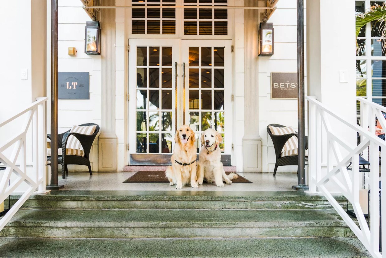 LT Steak & Seafood at the Betsy Hotel Launches a Dog-Themed Beer