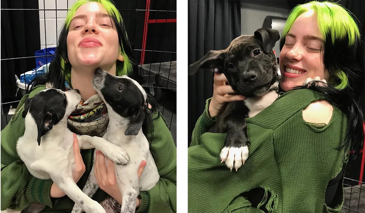 Billie Eilish Playing With Miami’s Cutest Puppies Is the Best Thing You’ll See All Week