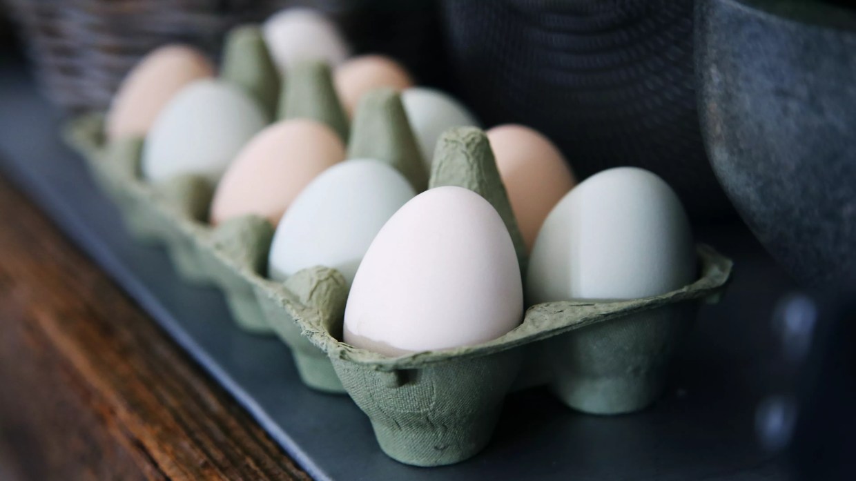 Shoppers Scramble to Buy Eggs Amid Shortage in Miami