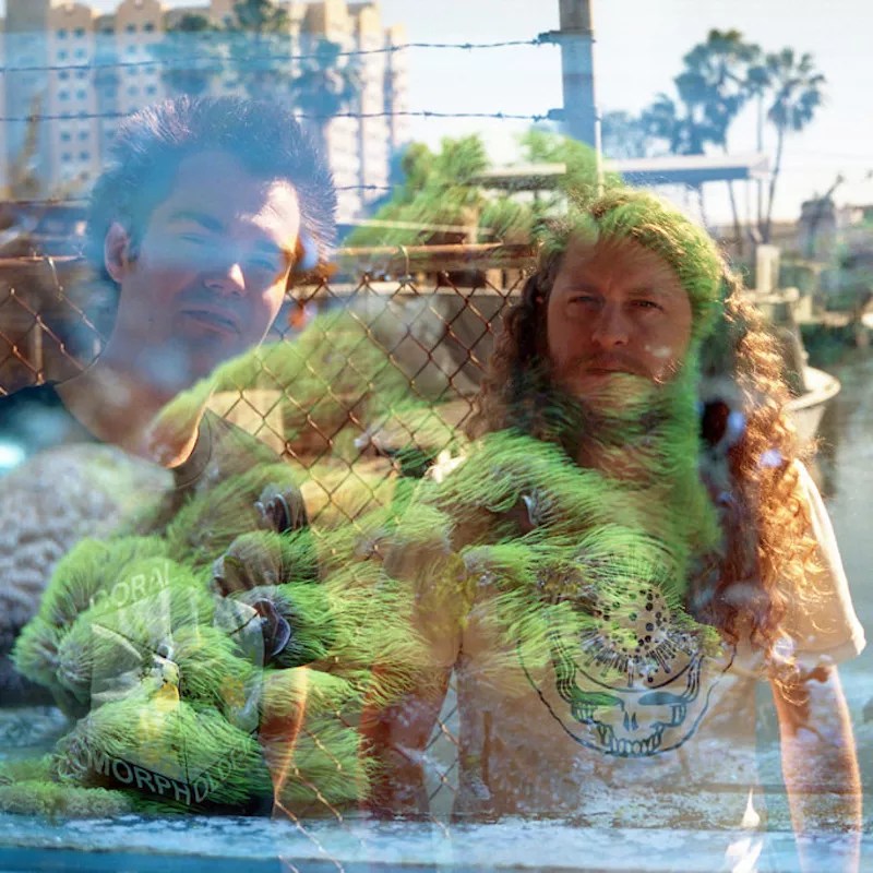 <i>Coral Morphologic 2</i> Is an Undulating Tribute to the Cosmic Creatures of Biscayne Bay