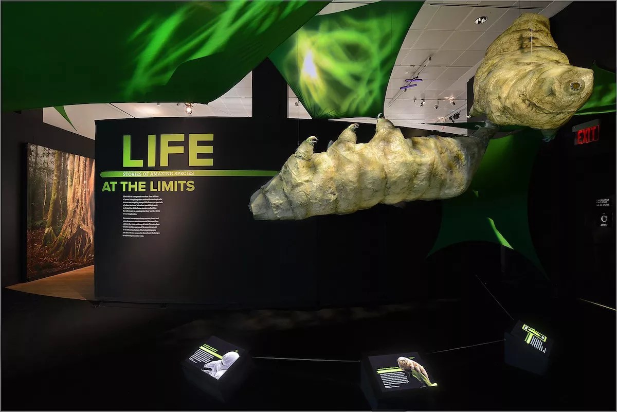 Frost Science’s “Nature’s Superheroes” Focuses on the Superhuman Abilities of the Natural World