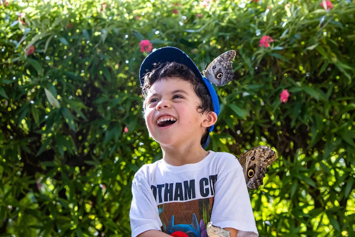 Six Places in Miami to Take Your Kids This Spring Break