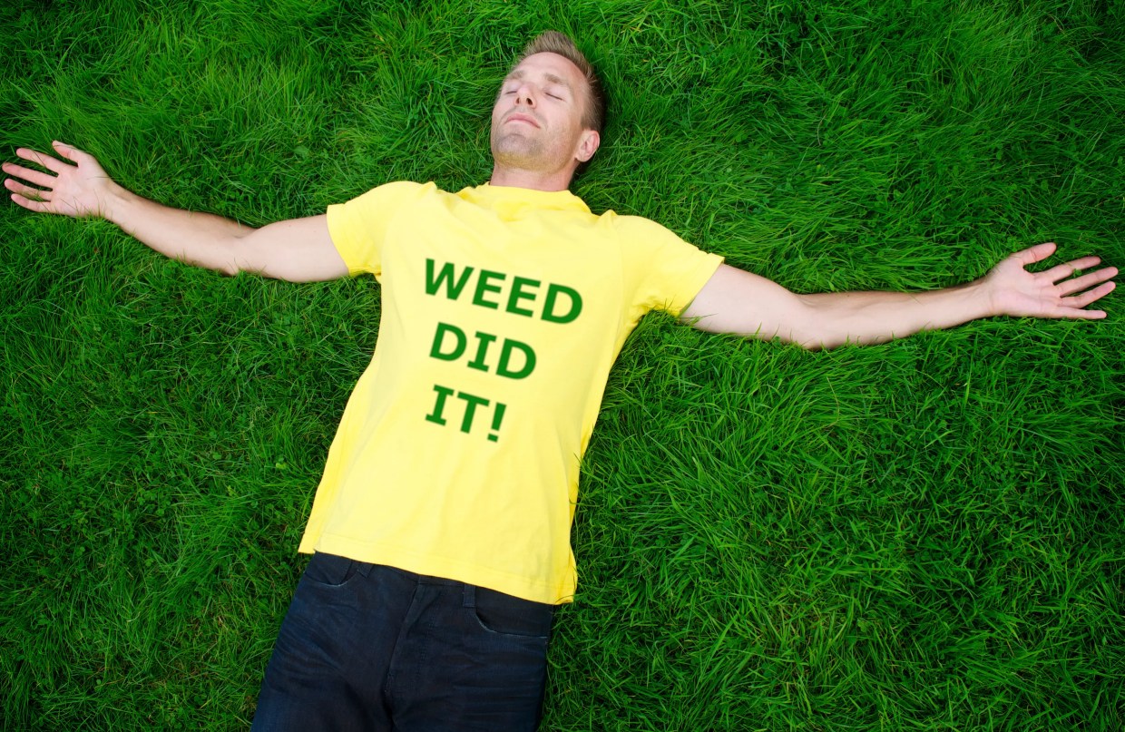 Man laying on grace with yellow shirt that reads,"Weed did it!"