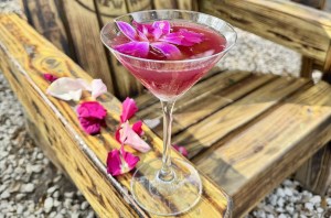 Picture of pink cocktail