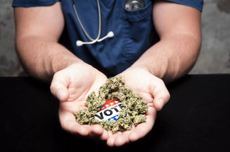 A person holding a small "vote" sticker surrounded by a handful of cannabis nuggets