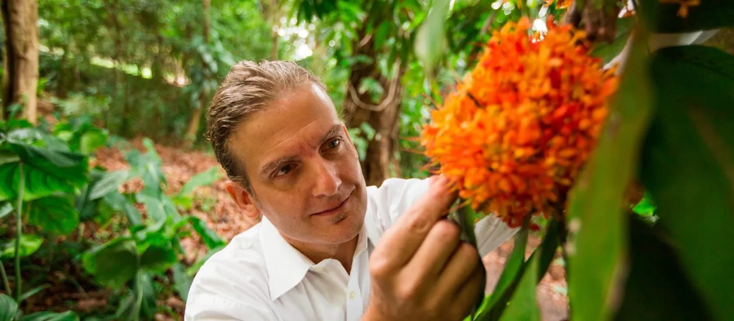 A closeup of a researcher holding a bright flower