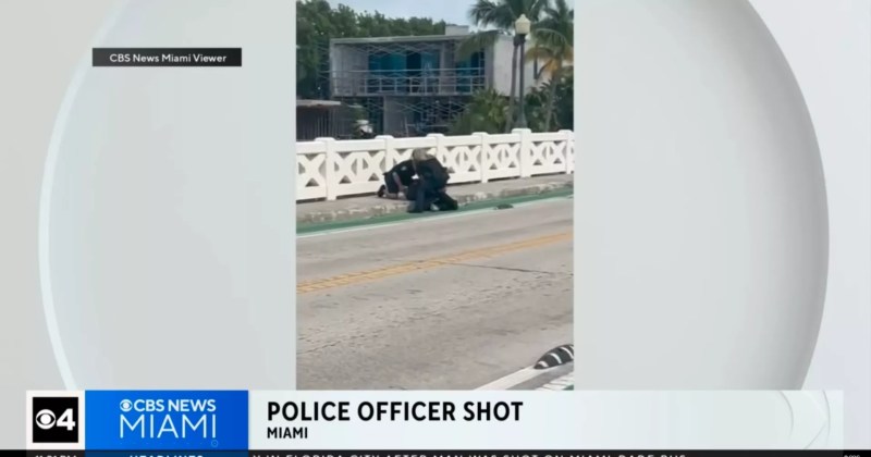 Miami Beach police officers on Venetian Island Causeway in a struggle with a man