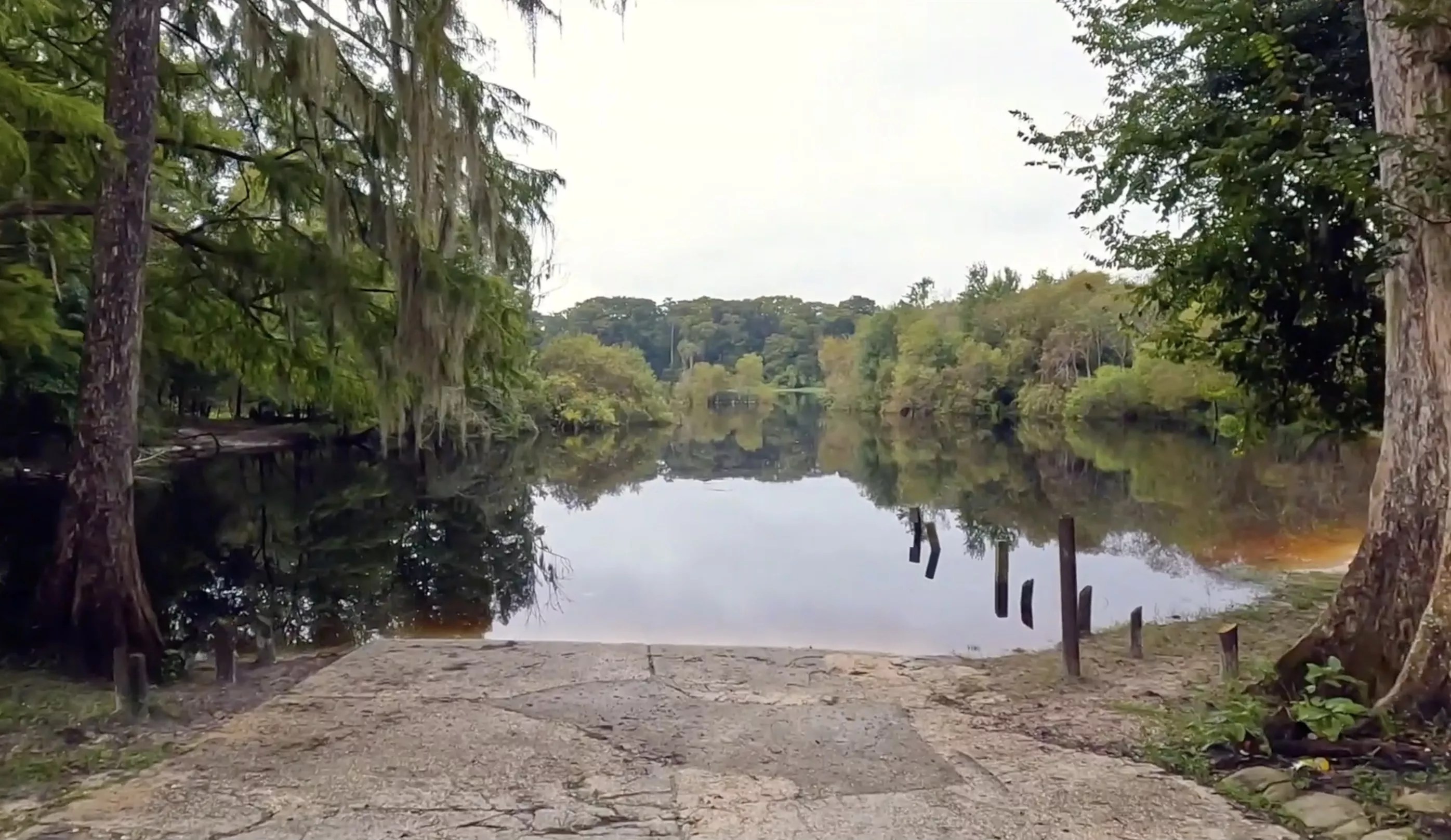 serene forest view from an old boat ramp