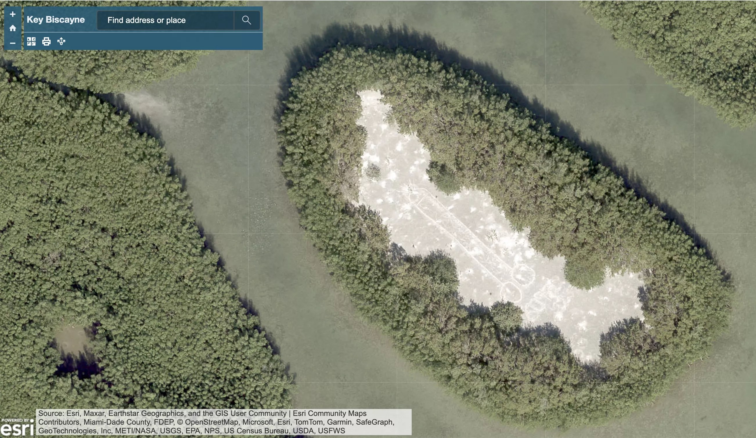 satellite image of a marshy portion of Bill Baggs Cape Florida State Park showing a large patch of sand dominated by a prominent, graffiti-scratched penis