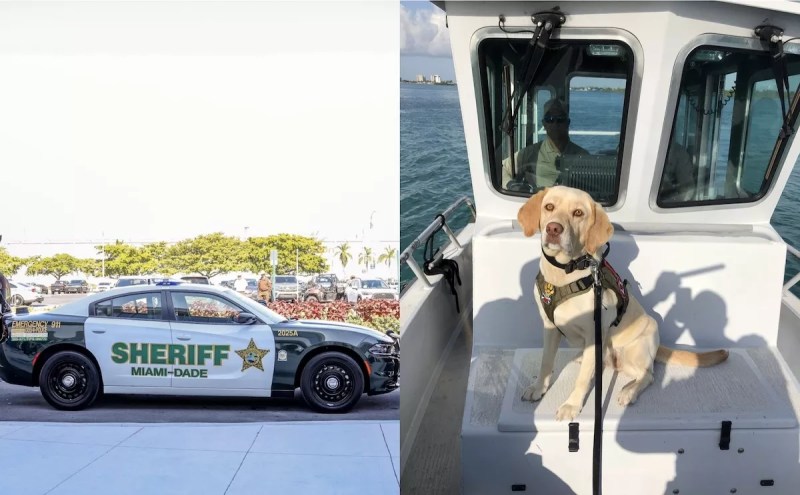 A photo collage with a Miami-Dade Sheriff's Office vehicle on the left and a police K-9 on the right.
